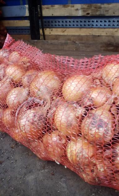 Onions By Wholesale For Processing Or