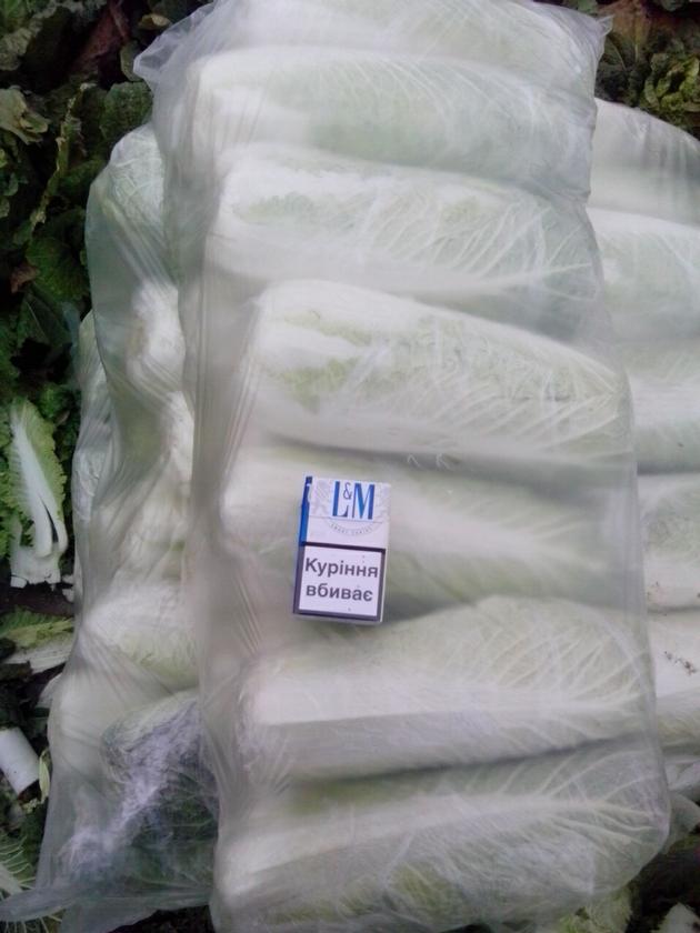 Celery Cabbage Chinese Cabbage By Wholesale
