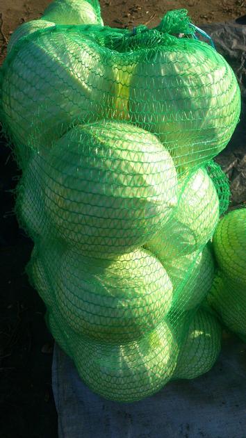 High Quality Cabbage By Wholesale