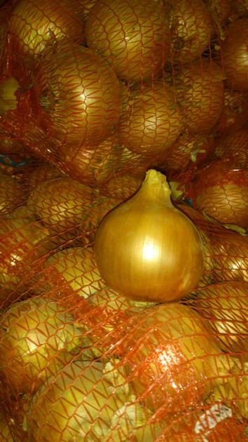 Onions