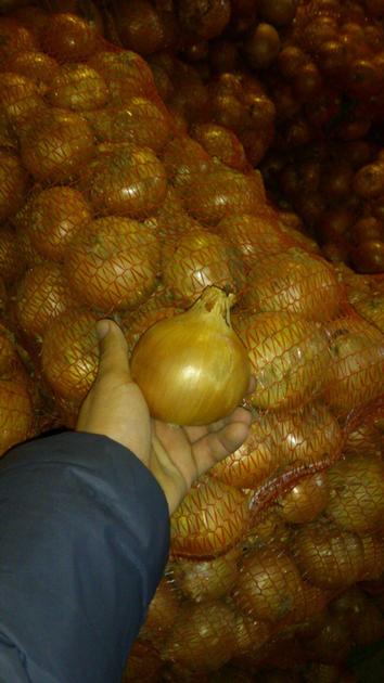 Onions