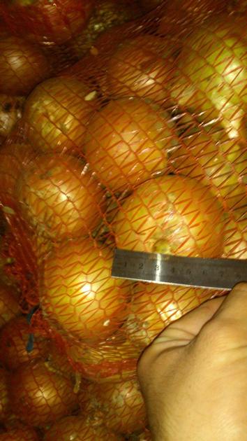Onions