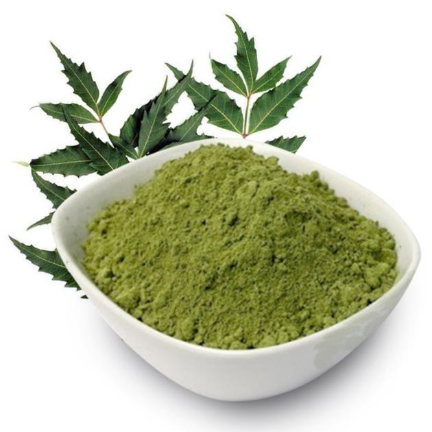 Neem Leaf Powder Bulk Supplier