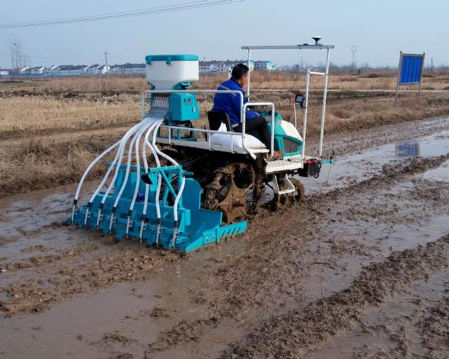 8 12 Rows Rice Direct Seeding