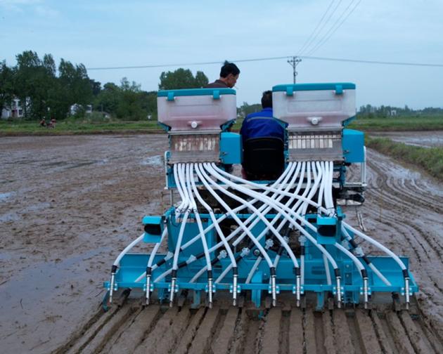 12 Rows Rice Direct Planting And