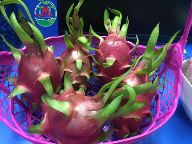 Fresh Dragon Fruit Red Flesh White