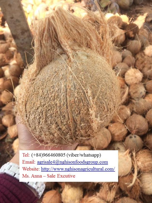 FRESH COCONUT