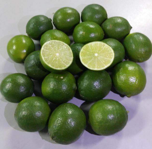 Fresh Lemon Lime In Bulk