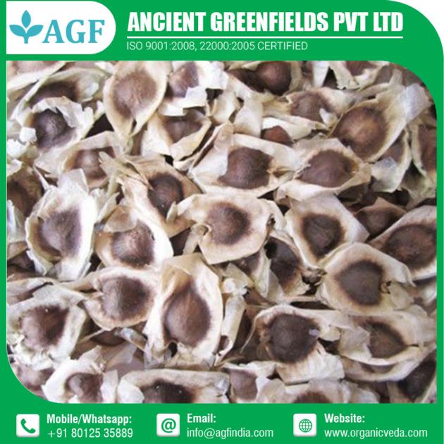Organic Moringa Seeds Supplier