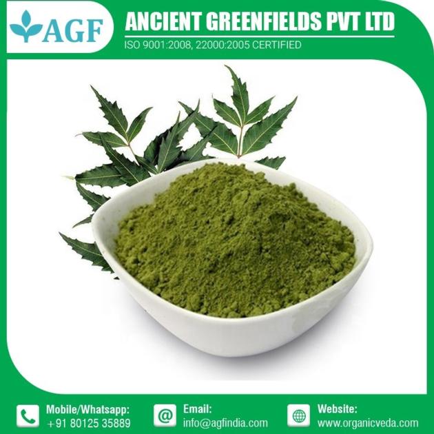 Neem Leaf Powder Bulk Supplier