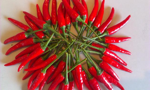 Fresh Red Hot Chili