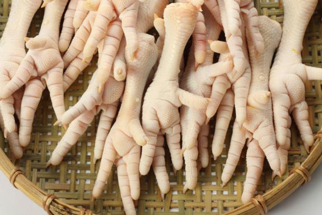 Halal Frozen Chicken Feet