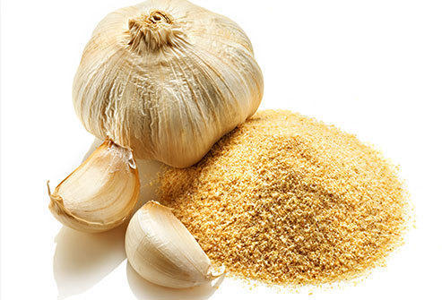 Organic Garlic Powder Bulk Manufacturer