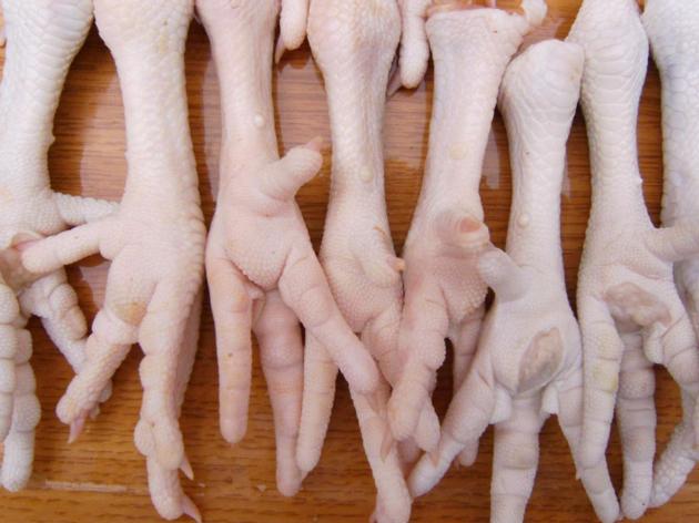 Chicken Feet, Chicken Wings, Chicken Drum Sticks, Halal Chicken, Chicken Eggs, Chicken Parts