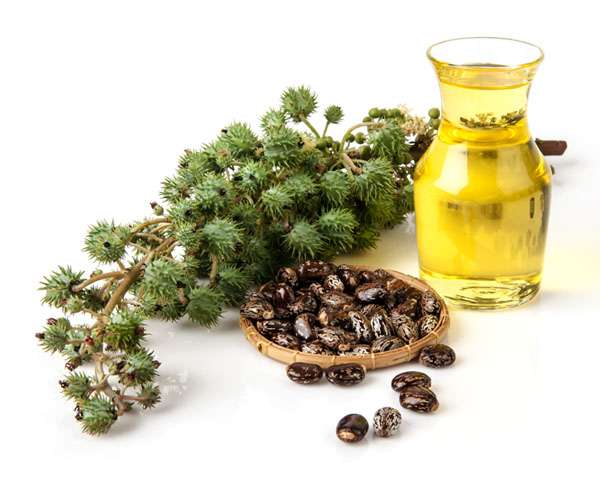Organic Castor Oil Bulk Supplier