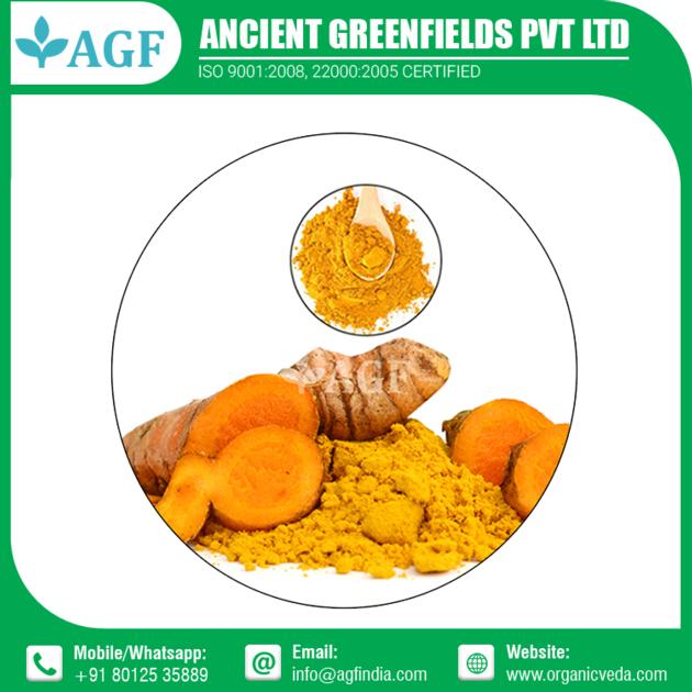 Turmeric Powder Organic Wholesale Manufacturer