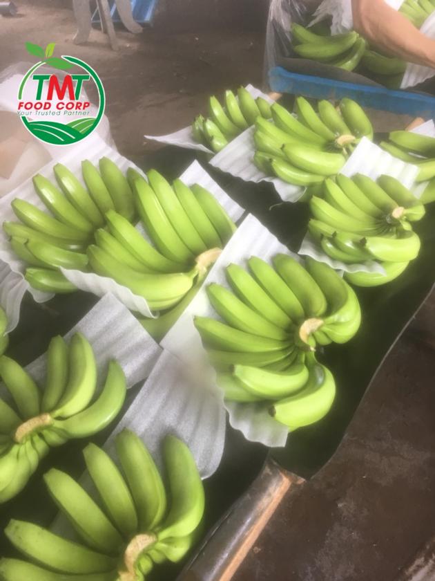 Fresh Cavendish Banana