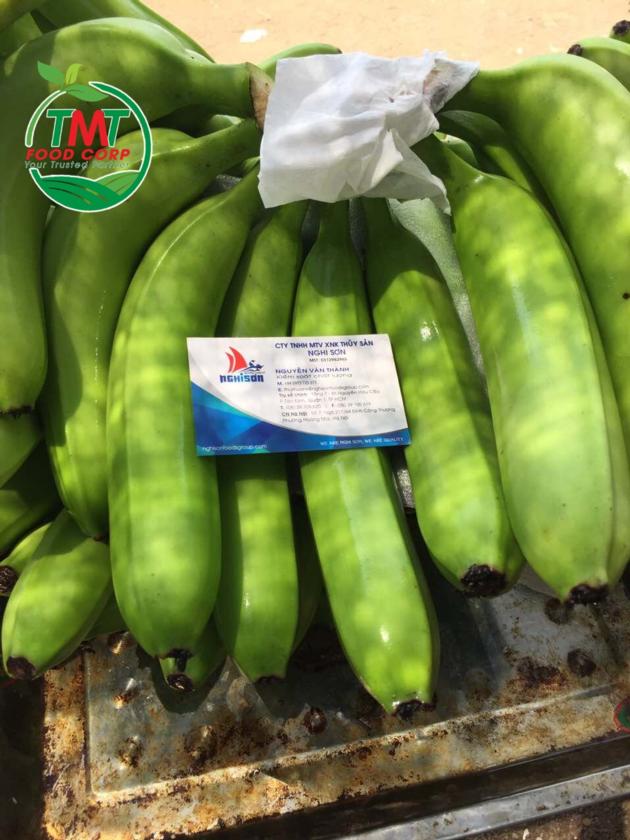 Fresh Cavendish Banana