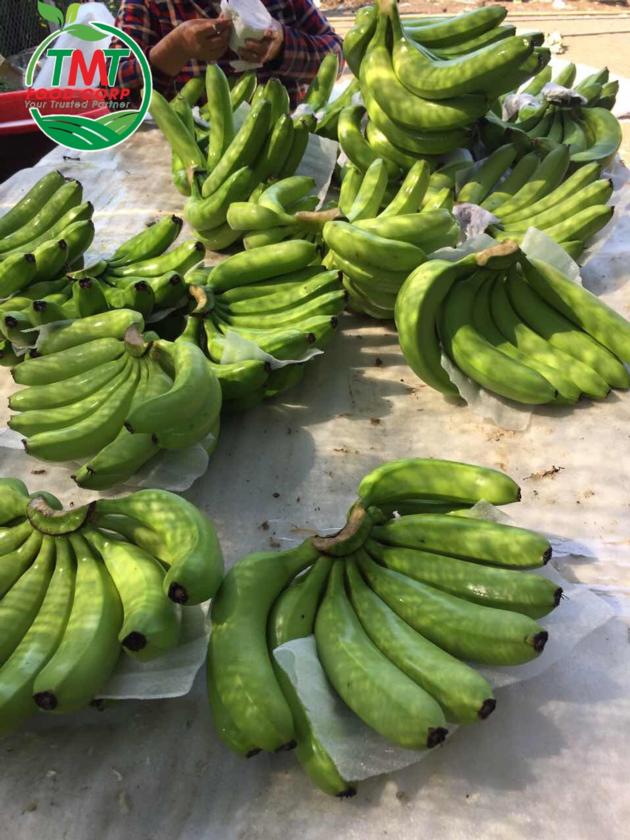 Fresh Cavendish Banana