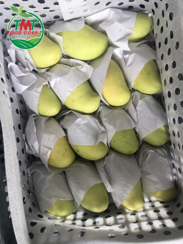 Best Seller Fresh Mango