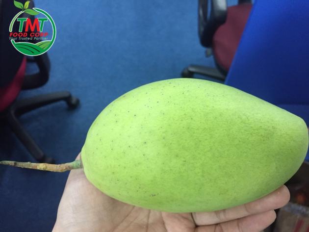 Best Seller Fresh Mango