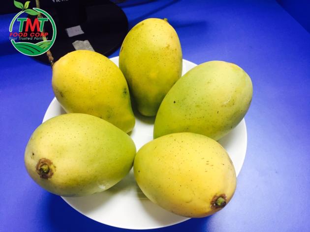 Best Seller Fresh Mango