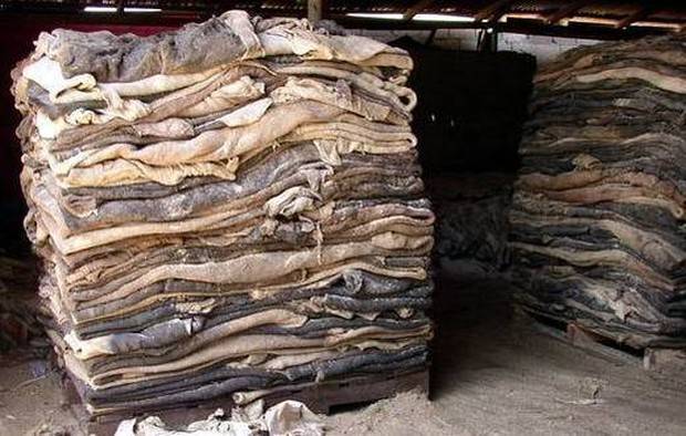 Wet & Dry Salted Buffalo Hide, Bovine Hides, Donkey Skin & Cow Skins