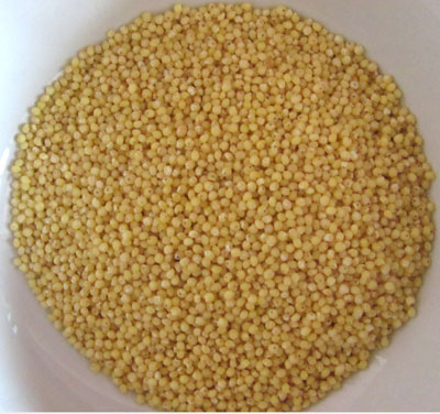 Yellow Millet