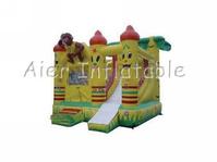 Inflatable Bounce