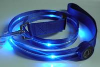 LED dog leash BL4