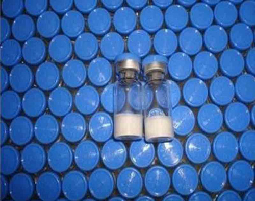High quality Somatotropin/Human growth hormone CAS NO:12629-01-5