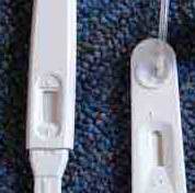 One Step Blood Glucose Test Strip