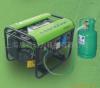 GAS GENERATORS     GAS LWAN MOWERS
