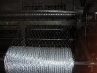 hexagonal wire mesh