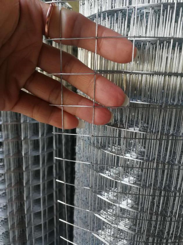 welded wire mesh