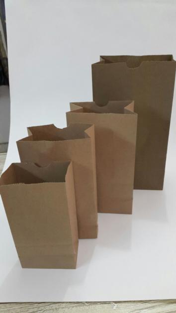 Recycled Brown Kraft Paper Carry Bags