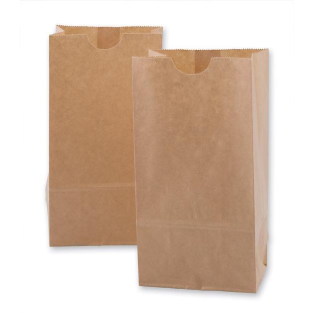 Recycled Brown Kraft Paper Carry Bags