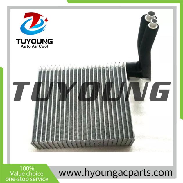 TUYOUNG Auto Ac Evaporator For Para
