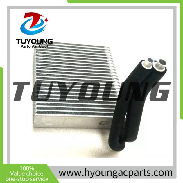 TUYOUNG Auto Ac Evaporator For Para
