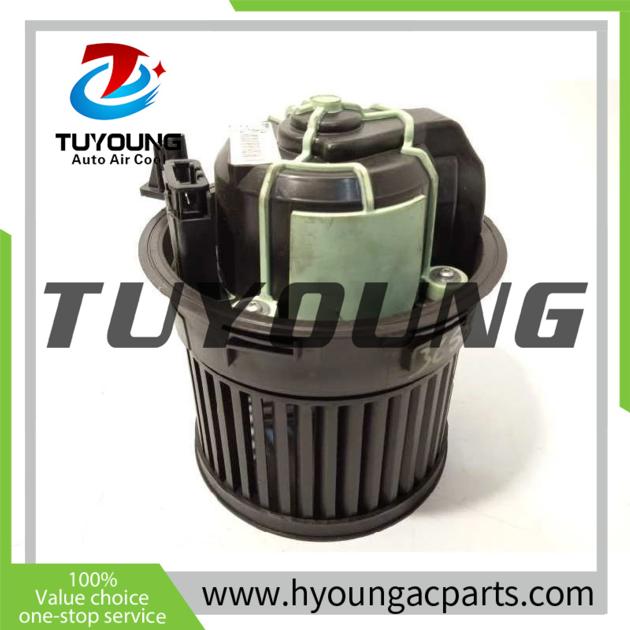 TUYOUNG Brand New Auto Ac Blower