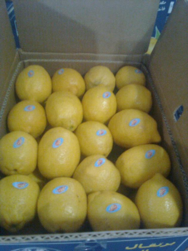 Fresh Lemon