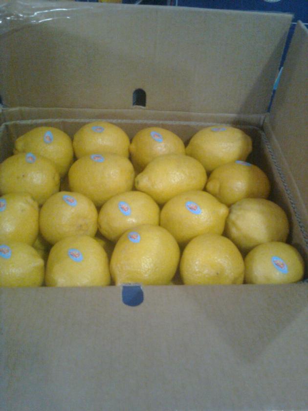 Fresh Lemon