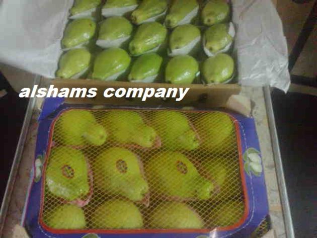 Fresh Guava 