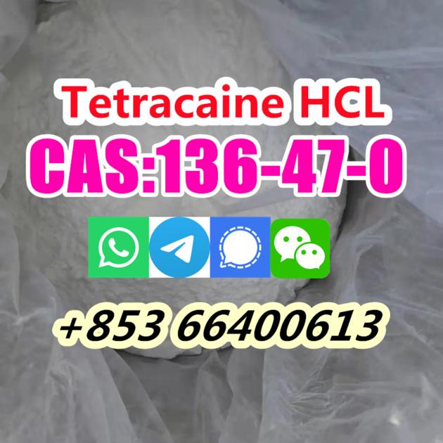 Hot Selling High Purity 99 CAS
