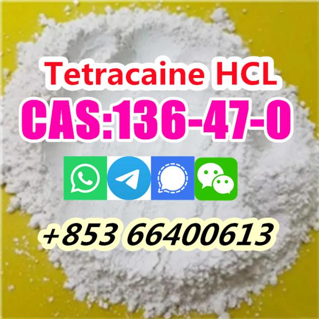 Hot Selling High Purity 99 CAS