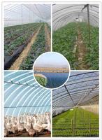 Three/Five-layer EVA Film for greenhouse