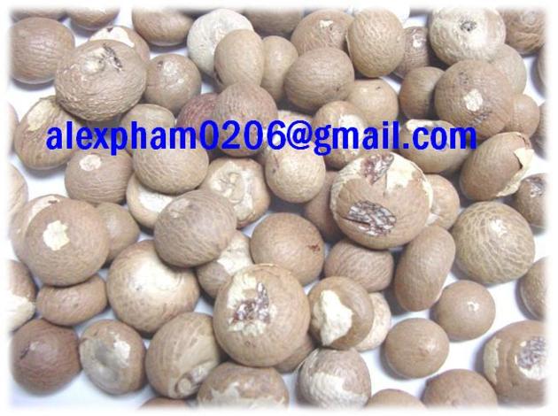 Dried Betel Nut/ Areca Nut Supari Catechu/ Bing Lang/ Betel Leaf