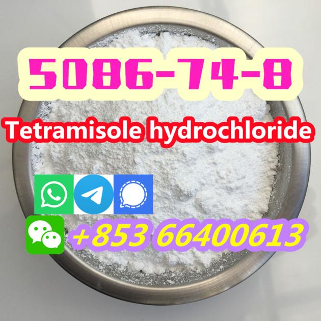 Manufacturers Direct 99% Pure CAS 5086-74-8 Tetramisole hydrochloride