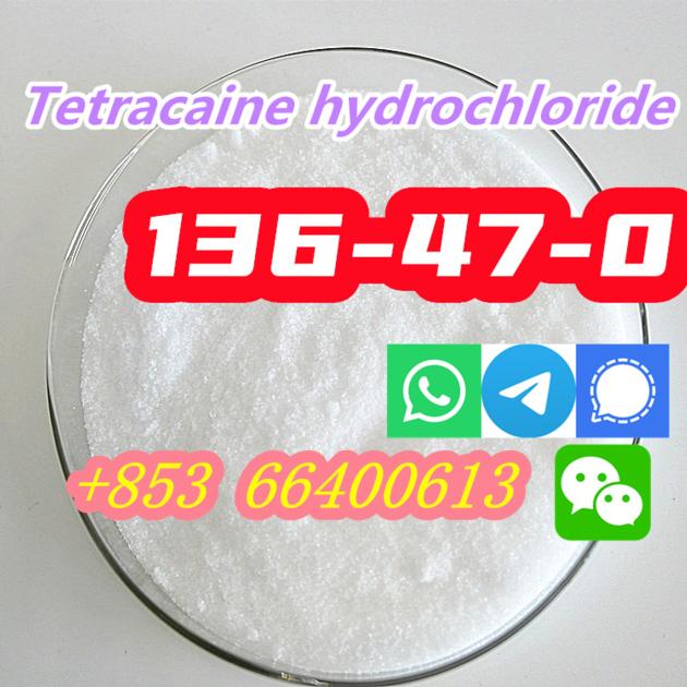 Hot Selling High Purity 99 CAS
