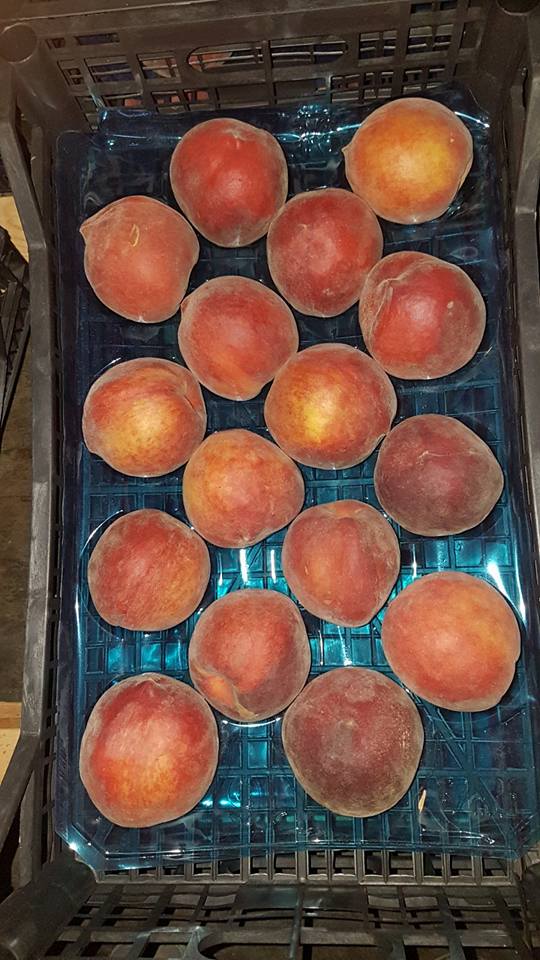 Fresh Peaches 
